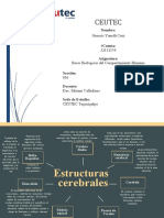 Tarea1 (Semana3) - Bases Biologicas - Mapa Conceptual Estructuras Cerebrales