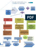 Ruta de Atención A Conducta Suicida Mapa