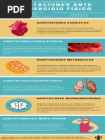 Adaptaciones Ante El Ejercicio Físico