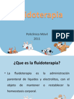 Fluidoterapia Poli