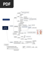 Anatomia Do Trato Gastrointestinal - Vascularização Do Estômago e Intestino