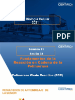 Biología Celular-Fundamentos de PCR-11-16