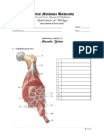 Central Mindanao University Department of Biology: Muscular System