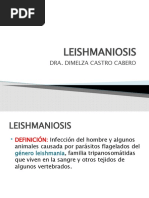 LEISHMANIOSIS