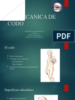 Anatomía de Codo Pedro Listo