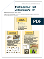 Actividades de Aprendizaje 4º Reino Animal.