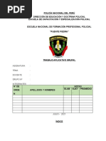 Administración Cem Comisaria Mujeres