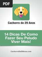 14 Dicas Pro Seu Cao Viver Mais