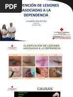 4.presentacion de Clasificacion de Las Lesiones Asociadas A La Dependencia o Cuidado 2