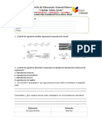 Evaluacion Dianostica 8vo CC - NN