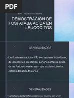 Demostración de Fosfatasa Ácida en Leucocitos