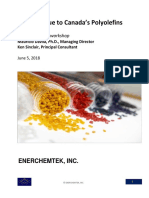 EnerChemTek - Adding Value To Canada's Polyolefins - Workshop - Sept. 2018