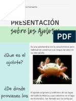 Expocisión Sobre El Ajolote