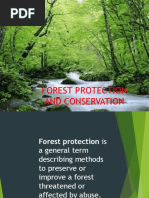 Forest Protection 