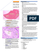 Cell Structure Notes