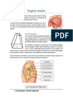 REGIÓN AXILAR (Daniel Sulbarán)