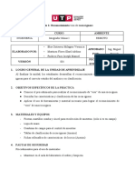 Guía N°1 - Reconocimiento Visu de Rocas Ígneas