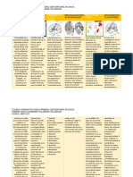 Cuadro Comparativo