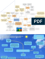 Mapas Mentales Todos Los Grupos