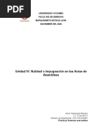 Demanda de Nulidad de Acta de Asamblea General Ordinaria