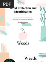 Weed Collection and Identification: Principles of Crop Protection, Lab: Weed Science Ilm Sanghiron Lagaylay Instructor I