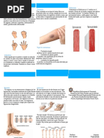 Triptico Lesiones