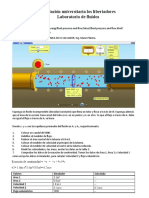 Laboratorio Fluidos 2