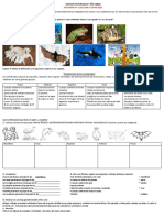 Ciencias Naturales 4° Actividad 3 Del 12-04