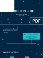 9.1. Investigación de Mercados