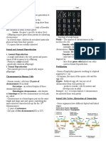 Chromosomes: Karyotype of A Male Human