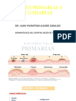 Lesiones Primarias-Secundarias