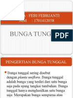 Bunga Tunggal