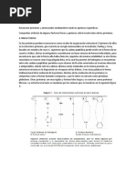 Ensayo para Proteínas