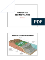 Ambientes Sedimentarios y Estratigrafia (1) .Pdf22