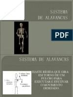 Sistema de Alavancas