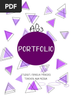 Ag3 Example 2 Portsafolio