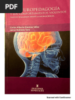 Libro La Neuropedagogia y Los Comportamientos Violentos