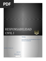 Importancia de La Responsabilidad Civil en La Republica Dominicana.