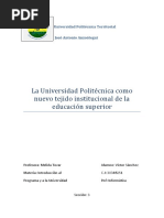 La Universidad Politécnica Como Nuevo Tejido Institucional de La Educación Superior