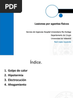 Lesiones Por Agentes Físicos