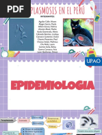 Rsu Toxoplasmosis