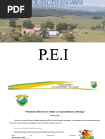 Pei Guacamayas 2021