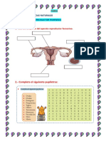 Tareas y Deberes