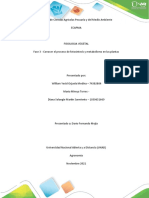 Fase 3 - Conocer El Proceso de Fotosíntesis y Metabolismo en Las Plantas