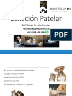 Luxación Patelar