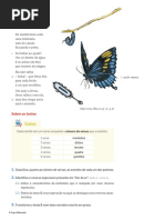 (Página 179, Manual) Questionário A Borboleta