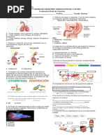 Evaluación Final de Ciencias Naturales