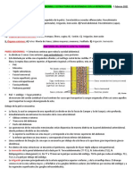 Resumen Anatomia Del Aparato Genital Femenino