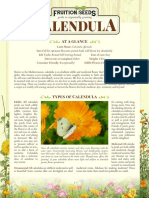 Growing Guide Calendula