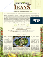 Growing Guide Beans